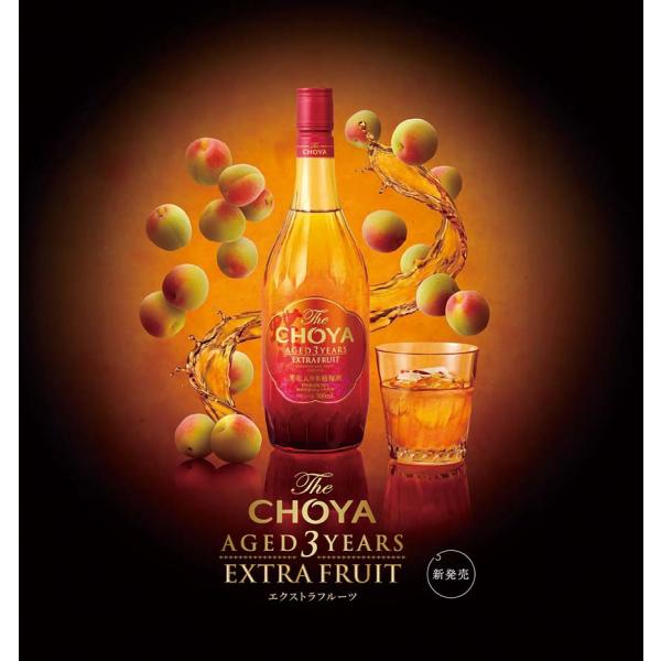 �~���@�`���[�� �{�i�~��  The CHOYA AGED 3 YEARS �uEXTRA FRUIT�G�N�X�g���t���[�c�v�@�@�䒆���@��Ε�@�������j ���i�摜1