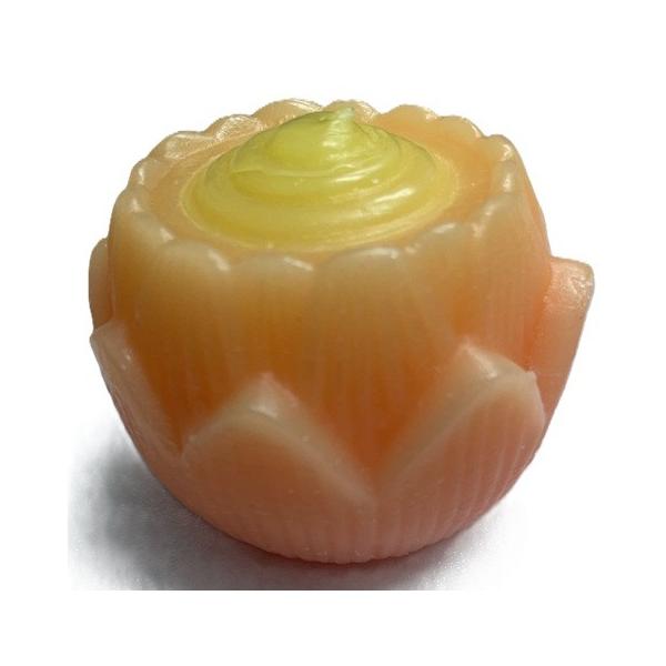 現品限り価格サイズ径8.3×高さ6cm【ローソクのみ】箱無燃焼時間不明中国製※在庫品のため、パッケージに焼け・汚れがある場合がございますが、中身の品質に問題はございません。何卒ご了承ください。