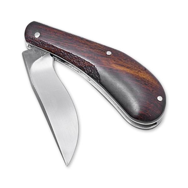 yC365@Rpr@iCtz܍iCt/ACAEbhyz