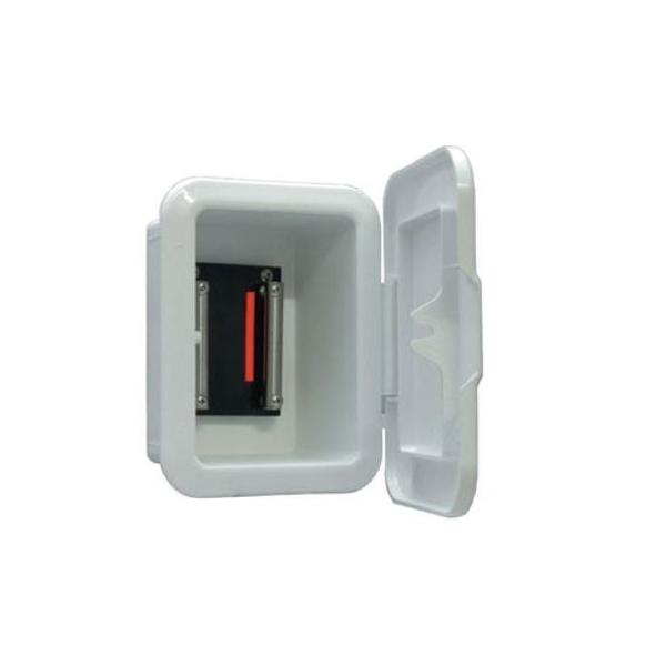 d[pd{bNXRZg () N^M[ y[J[iԁF00901Dz