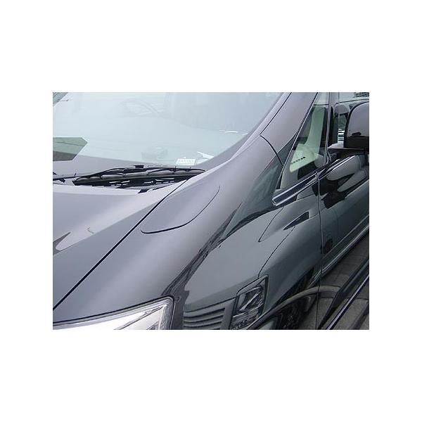 At@[h 10n   tF_[~[Jo[ hX^C l