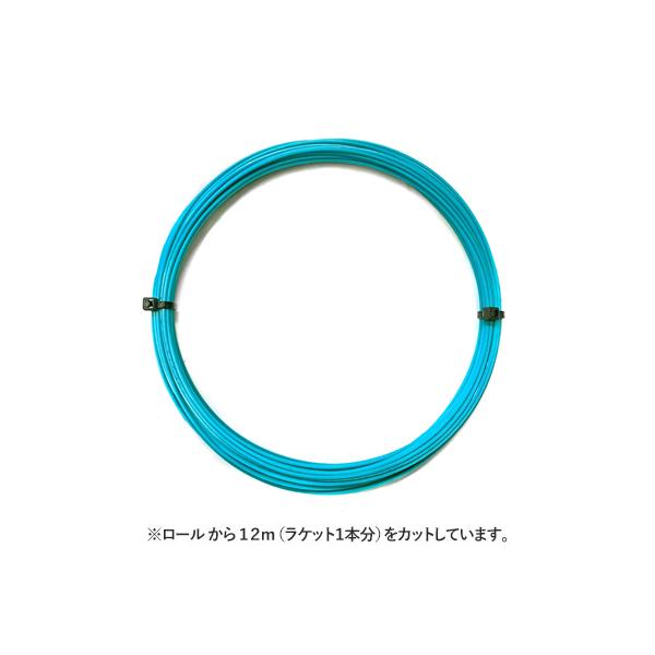 【12mカット品】ダイアデム ソルティス パワー｜1.15mm