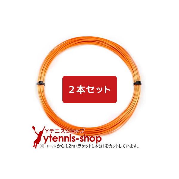 【12mカット品】シグナムプロ ポリプラズマ｜1.23mm x２本セット