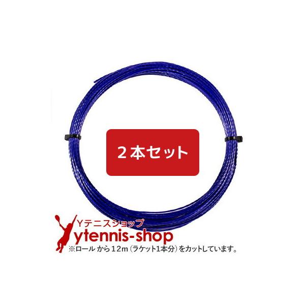 【12mカット品】シグナムプロ サンダーストーム｜1.24mm x２本セット