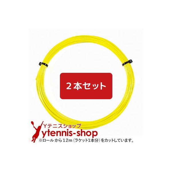 【12mカット品】シグナムプロ トリトン｜1.18mm x２本セット