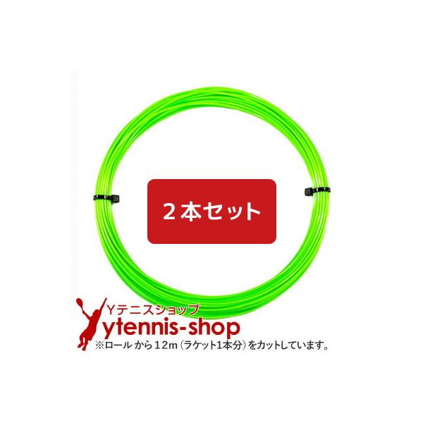 【12mカット品】シグナムプロ エクスペリエンス｜1.18mm x２本セット