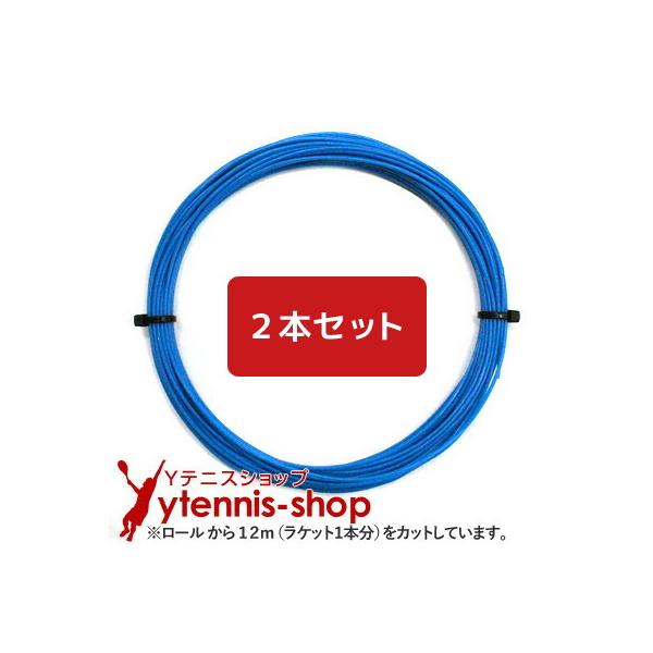 【12mカット品】ヘッド ベロシティ マルチ ブルー｜1.25mm x２本セット