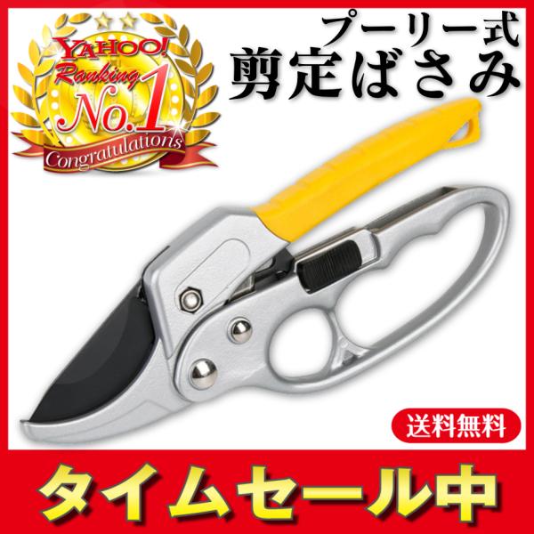https://item-shopping.c.yimg.jp/i/l/chtrade1122_scissors