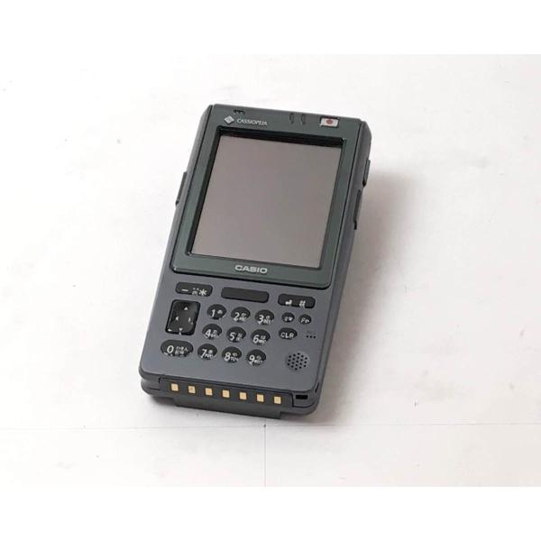CASIO 業務用ハンディターミナル DT-5200 M50B CASSIOPEIA モバイル