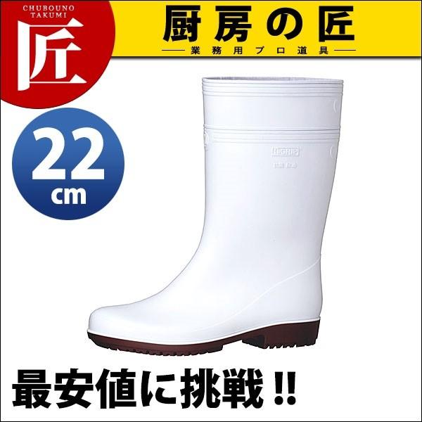 ~hS ϊC NHG2000N X[p[C  22cm (N)itakumij