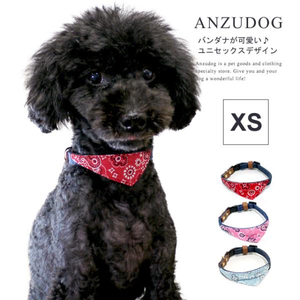 azeria アゼリア ジョニーワンタッチカラー XS 首輪（カラー） ドッグウエア 犬服 かわいい ペット お散歩 ANZUDOG（あんずドッグ）