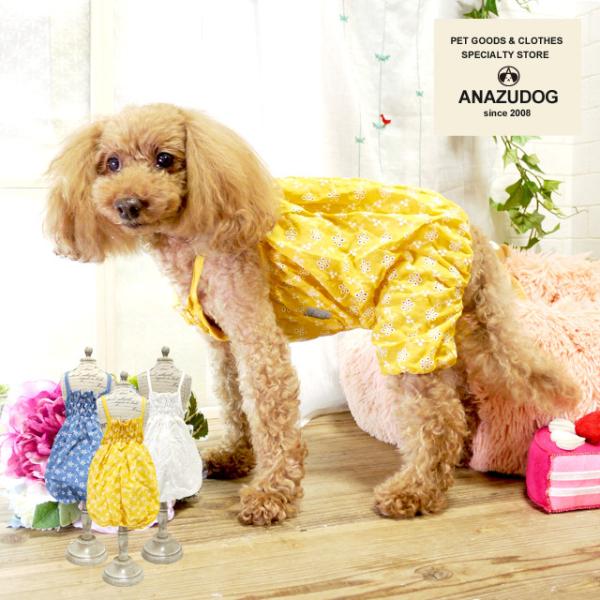 ԎhJRbg[XJo[I[ hbOEGA  ^ L ybgpi t