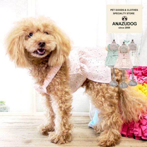 ԃRbg[Xs[X hbOEGA ^ L   킢 ybg t