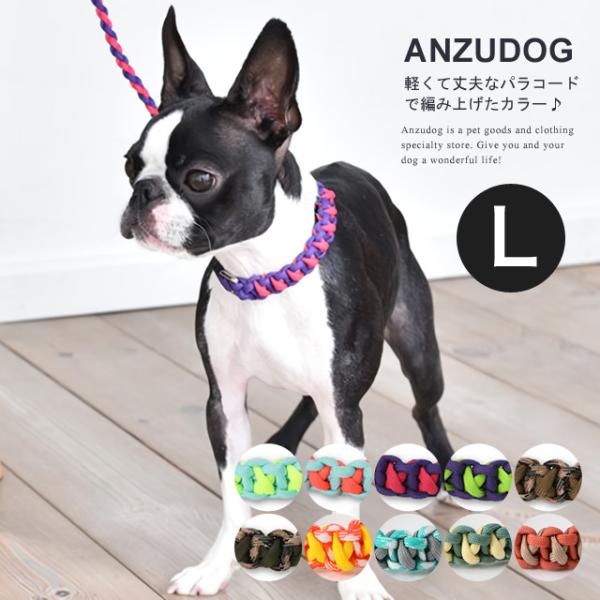 【在庫限り】Solgra（ソルグラ） バイカラーコード カラー（首輪） L お散歩 小型犬 中型犬 犬服