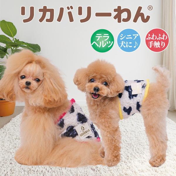 【10月中旬から下旬入荷】 2026秋冬新作 クークチュール 犬リカバリーグッズ テラヘルツ MOUMOUベルクロバンド 7353 犬腹巻きドッグウェア 犬服 小型犬