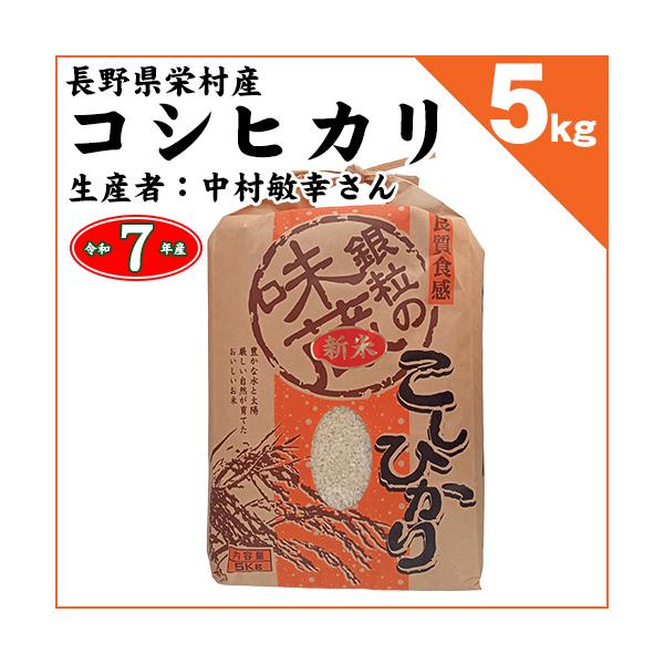 コシヒカリ 長野県栄村 白米5kg 令和7年産 [生産者：中村敏幸さん