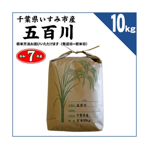 お米、90㎏、精米済み お米、精米済み、90㎏