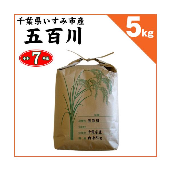 超早場米・新米】 千葉県いすみ産 五百川 白米5kg 令和7年産 ※2025年7