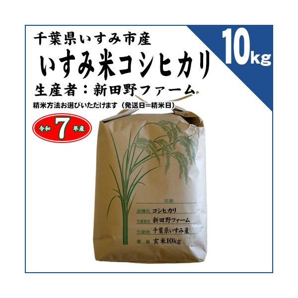 コシヒカリ 千葉県いすみ市産 いすみ米 令和7年産 玄米10kg （精米方法