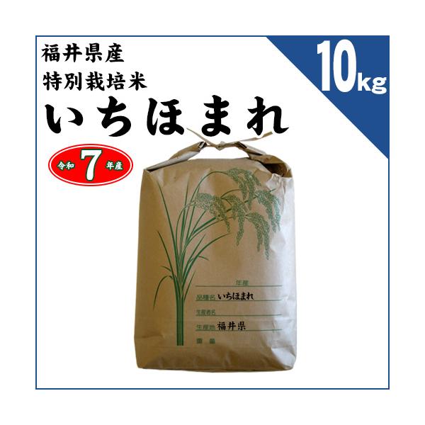 福井県 特別栽培米 いちほまれ 玄米10kg（精米方法お選