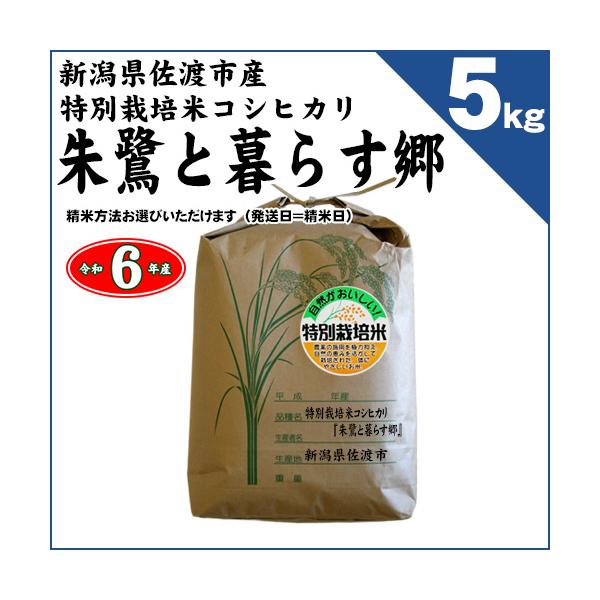 chumeian_nig-toki-g5kg chumeian_nig-toki-g5kg