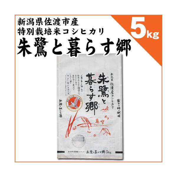 コシヒカリ 新潟県佐渡産 特別栽培米 「朱鷺と暮らす郷」 白米5kg 令和