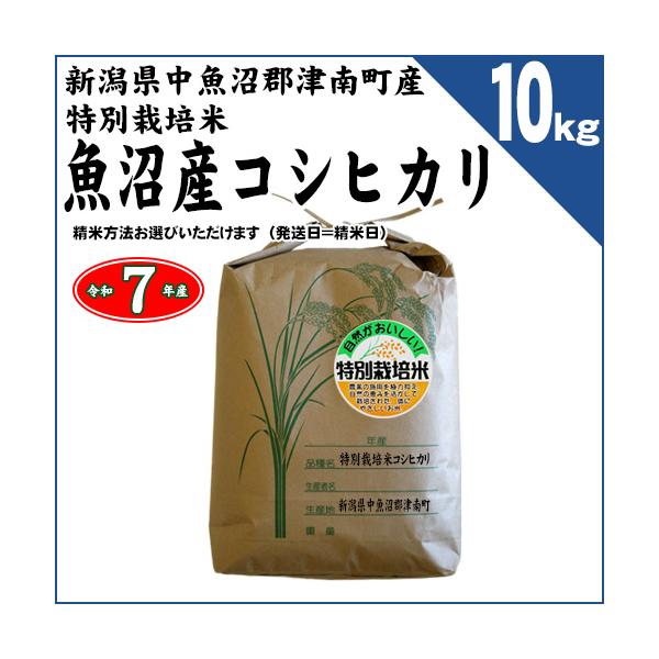 コシヒカリ 新潟県津南町産 特別栽培米 魚沼産コシヒカリ 玄米10kg