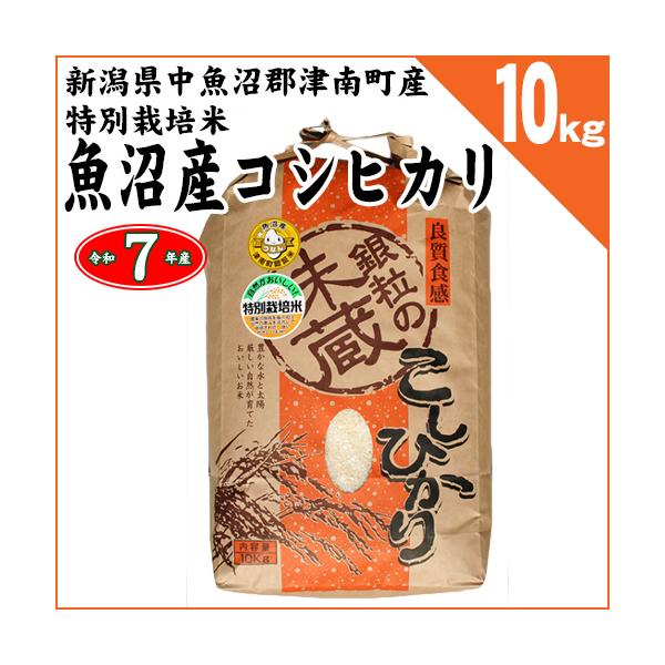 chumeian_nig-tsunant-h10kg