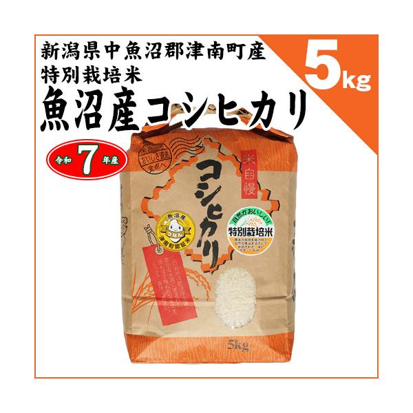 コシヒカリ 新潟県津南町産 特別栽培米 魚沼産コシヒカリ 白米