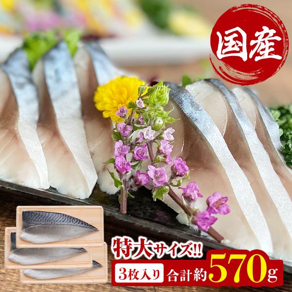 国産 しめ鯖 特大 片身約190g × 3枚 真さば きずし 鯖寿司 〆