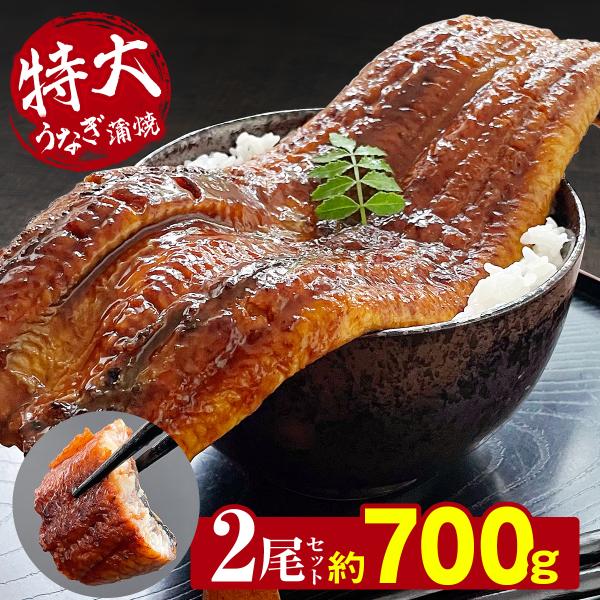 うなぎ 鰻 中国産 特大 約350g × 2尾 ひつまぶし おにぎり 鰻重 うな丼 蒲焼き 真空パック ギフト お取り寄せ 冷凍 内祝い プレゼント