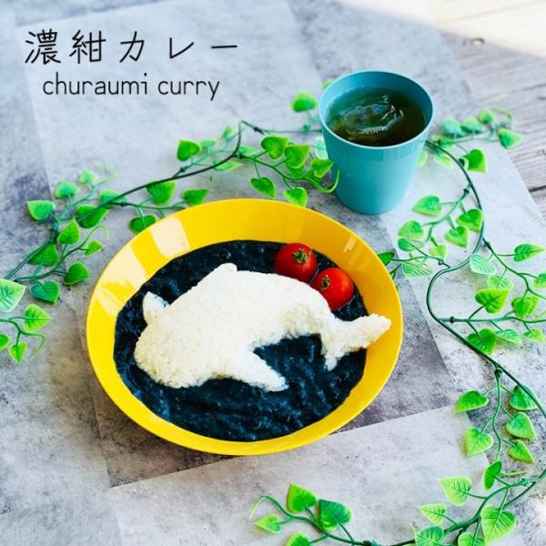 美ら海 カレー 2食入