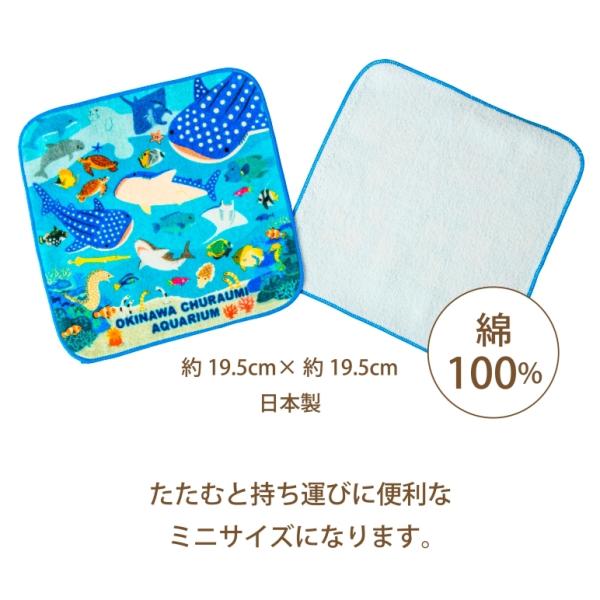 日本最大の ハンドタオル ハンカチ 沖縄美ら海水族館 ミニイラストタオル 2カラー 19 5cm 19 5cm 生き物 お魚 Columbiatools Com