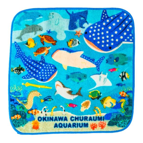 日本最大の ハンドタオル ハンカチ 沖縄美ら海水族館 ミニイラストタオル 2カラー 19 5cm 19 5cm 生き物 お魚 Columbiatools Com