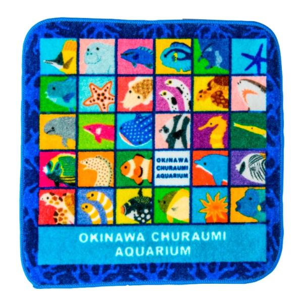 日本最大の ハンドタオル ハンカチ 沖縄美ら海水族館 ミニイラストタオル 2カラー 19 5cm 19 5cm 生き物 お魚 Columbiatools Com