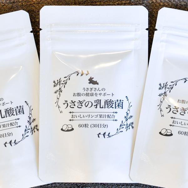 乳酸菌増量！より美味しくリニューアルしました！！うさぎの乳酸菌は、免疫力を保ち、腸内細菌のバランスを整えますこんなうさぎさんにおすすめです。・おなかのコンディションを整え、良い状態を保ちたい・軟便を解消したい・免疫力、抵抗力を改善したい「う...