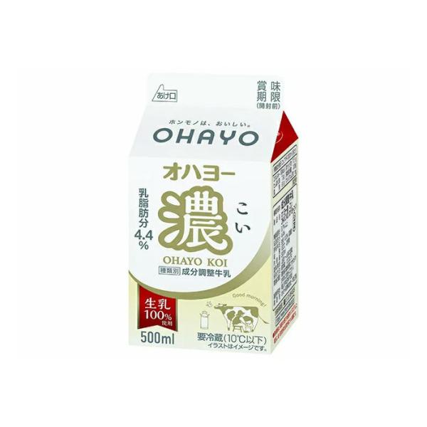 オハヨー乳業 オハヨー濃（こい） 500ml 6本