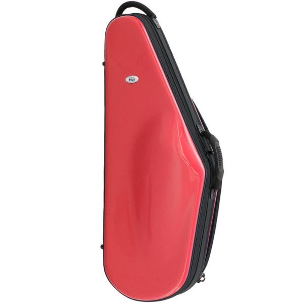 bags EFTS-RED EVOLUTION TENOR SAX �e�i�[�T�b�N�X�p�n�[�h�P�[�X
