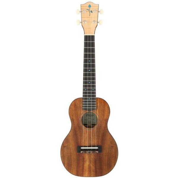 FUJIGEN FUS-TC RT[gEN