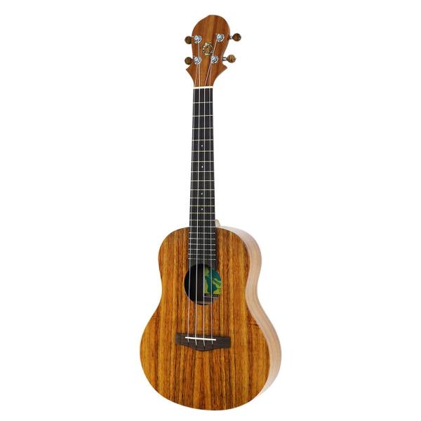 BIG ISLAND KT-TR ei[EN