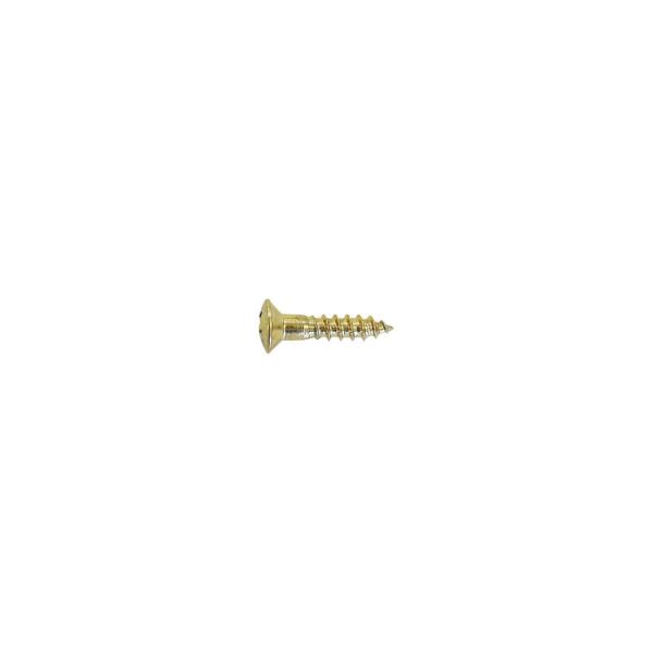 他サイト： SCUD TS-01GH 12pcs ピックガード用 ネジ ミリサイズ ゴールドの商品画像