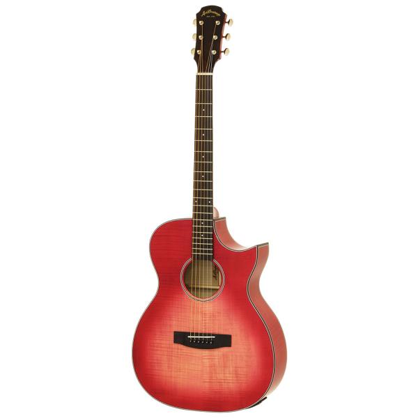 ARIAエレアコギター ARIA APE-100 SBL アコースティックギター初心者12点セット