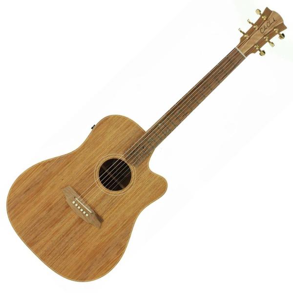 Cole Clark コールクラーク CCFL2EC-BLBL FL Dreadnought Australian 