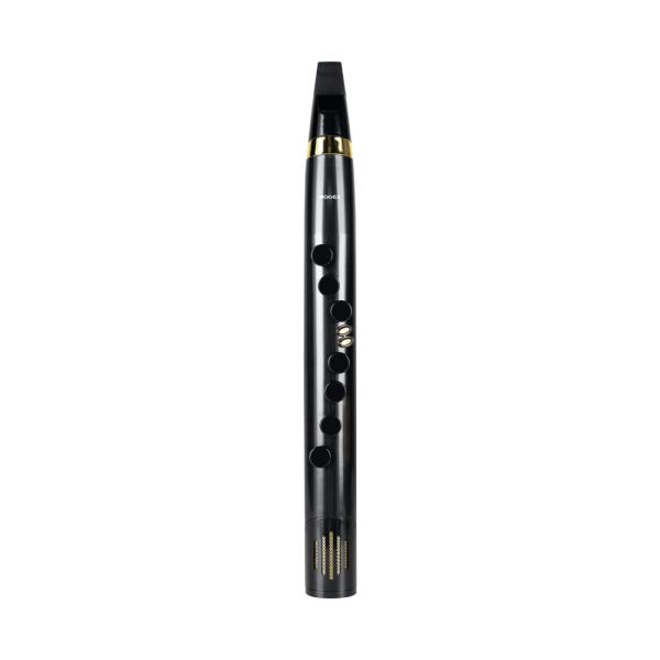 Wind Instrument 100 Wi100