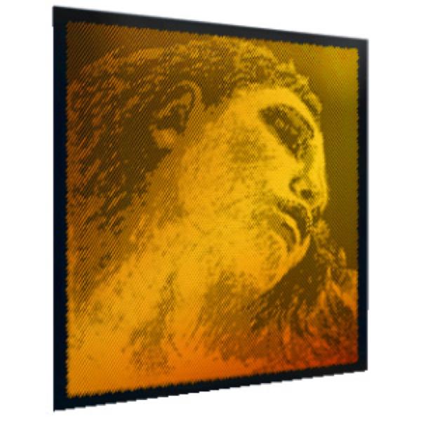 ピラストロ バイオリン 弦 E Evah Pirazzi Gold 315421 E線 ステンレス /スチール エバ ピラッツィ ゴールド PIRASTRO。※商品画像はサンプルになります。詳しくは商品説明をご参照下さい。  ・モダンなシン...