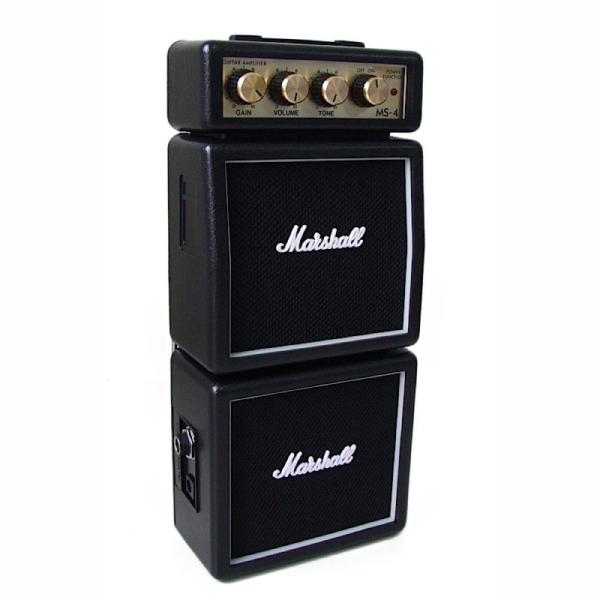 MS4 Full Stack Mini