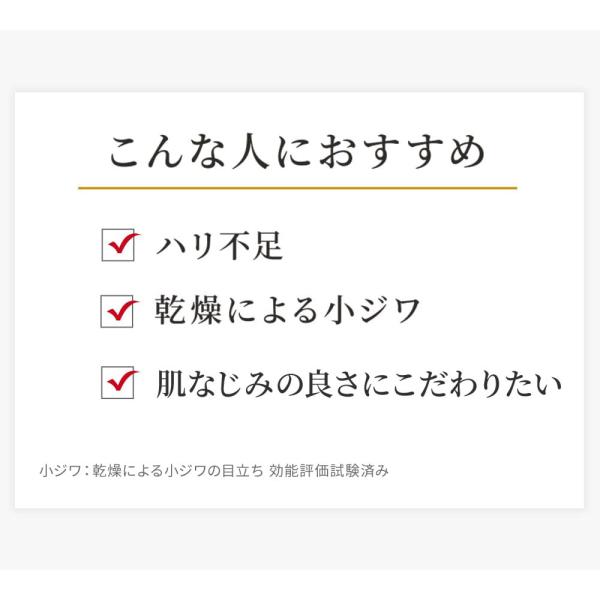 ci-labo-official_00112256-00_3_d_20251125175042