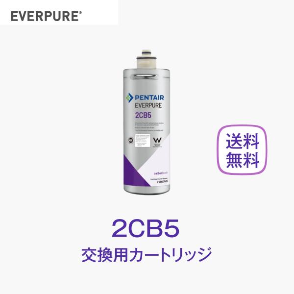 エバーピュア 2CB5 浄水器カートリッジ 業務用