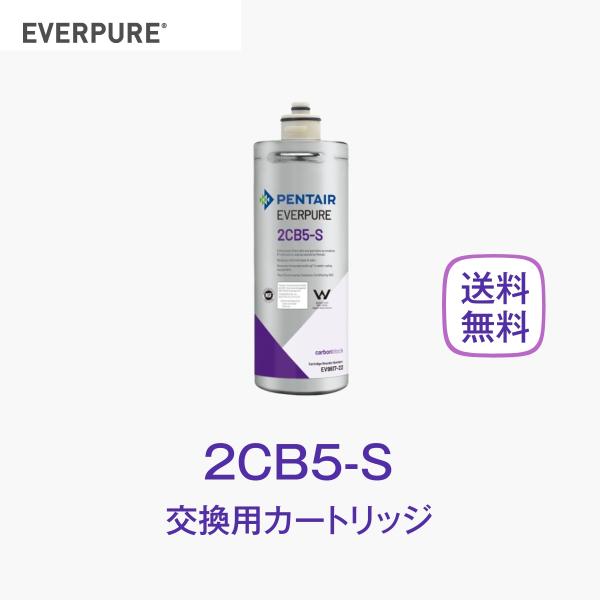 エバーピュア 2CB5-S 浄水器カートリッジ 業務用