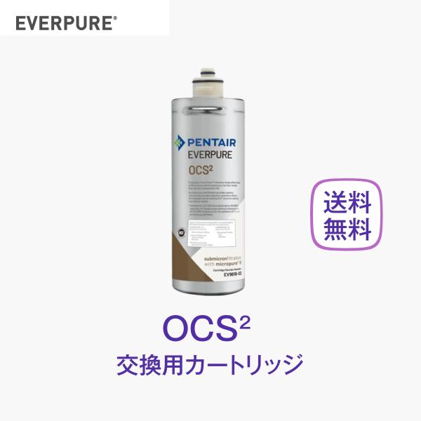 エバーピュア OCS2 浄水器カートリッジ 業務用